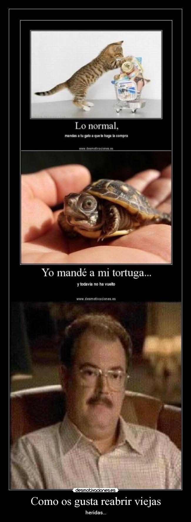 carteles pancho perro loteria desmotivaciones