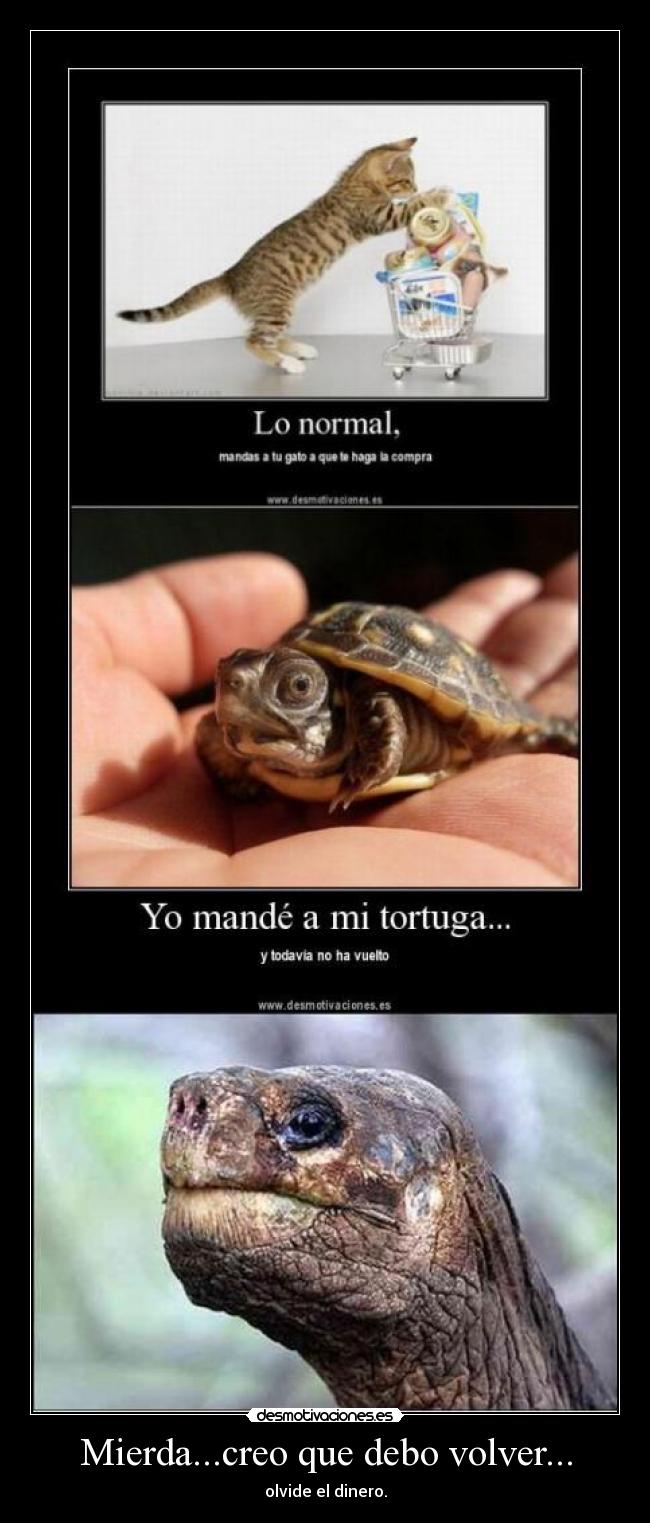 Mierda...creo que debo volver... - olvide el dinero.