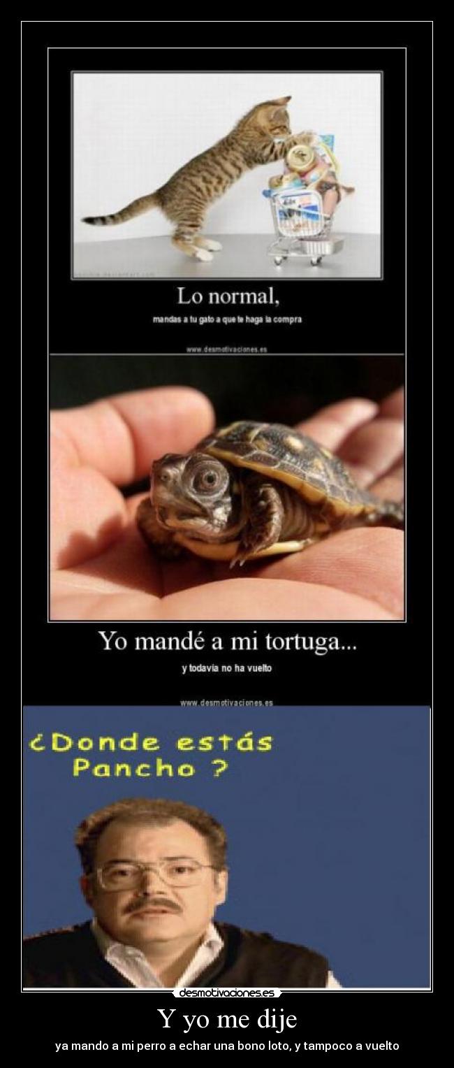 Y yo me dije - ya mando a mi perro a echar una bono loto, y tampoco a vuelto