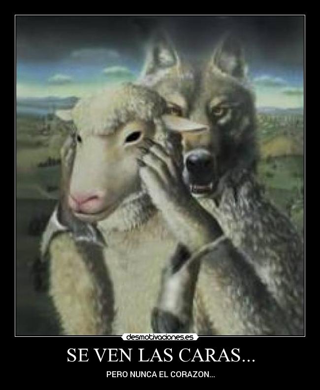 SE VEN LAS CARAS... -