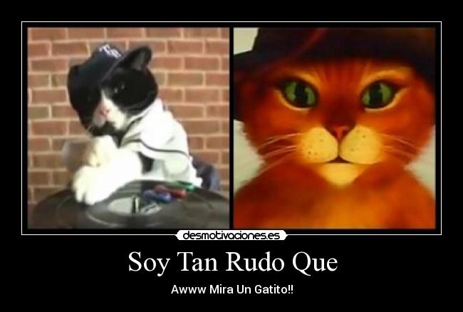Soy Tan Rudo Que - 