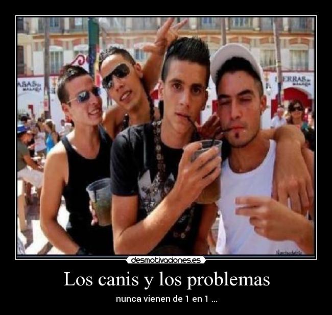 Los canis y los problemas - nunca vienen de 1 en 1 ...