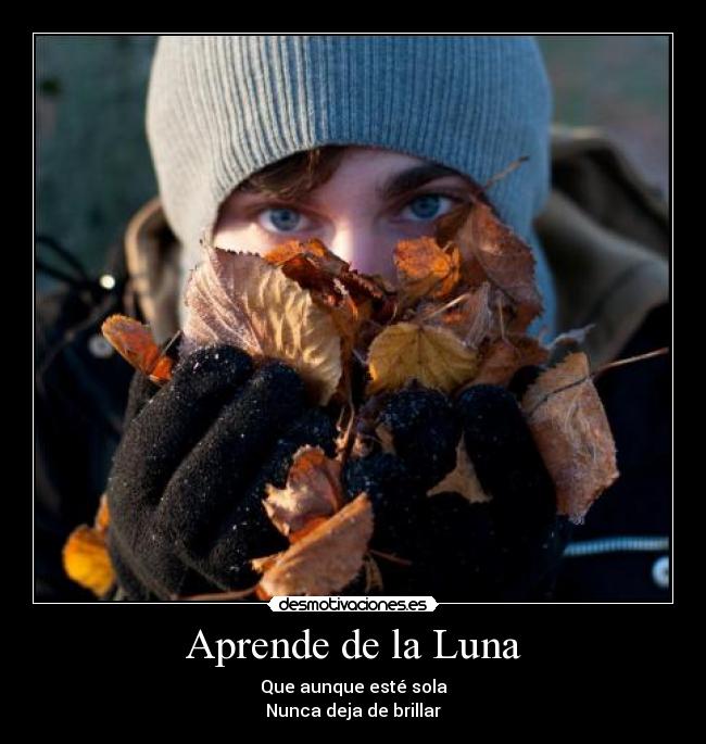 carteles diego party partyhard intruders desmotivaciones