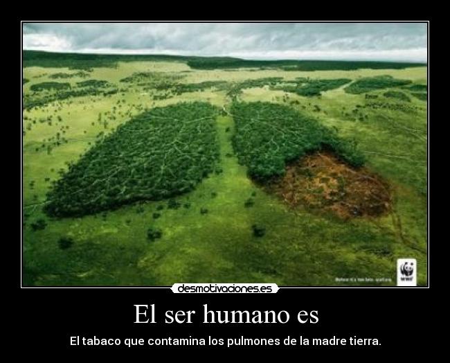 El ser humano es - El tabaco que contamina los pulmones de la madre tierra.