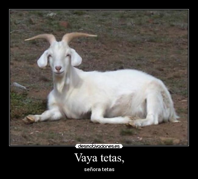 carteles tetas mixer desmotivaciones