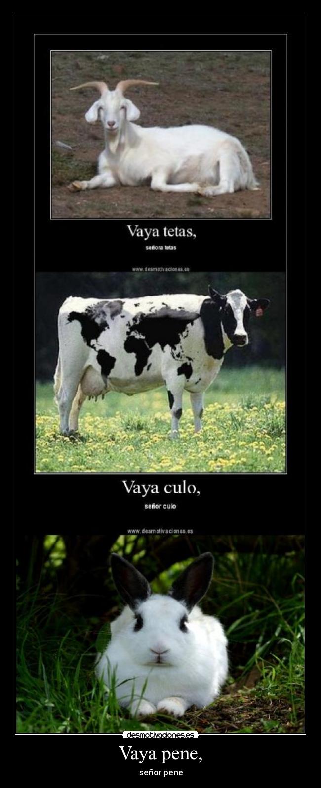 carteles mixer male non paga diritti autore clanhoygan sosioh desmotivaciones