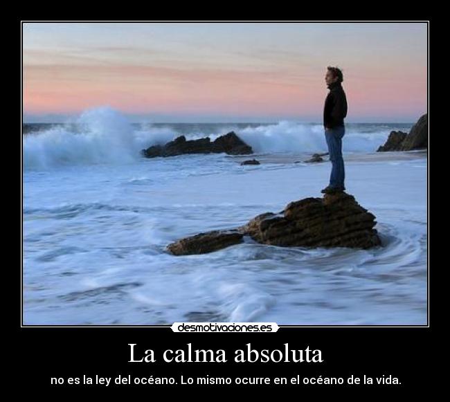 carteles calma absoluta vida myrniz desmotivaciones