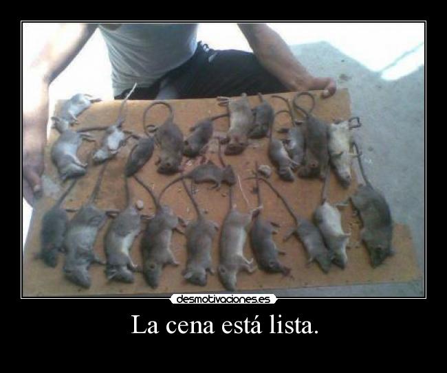 La cena está lista. -