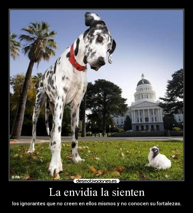 La envidia la sienten -