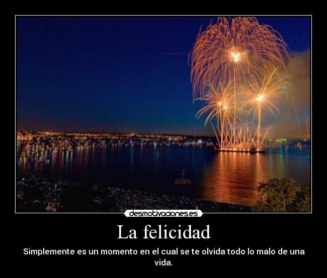 La felicidad - Simplemente es un momento en el cual se te olvida todo lo malo de una vida.