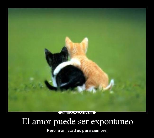 El amor puede ser expontaneo - Pero la amistad es para siempre.
