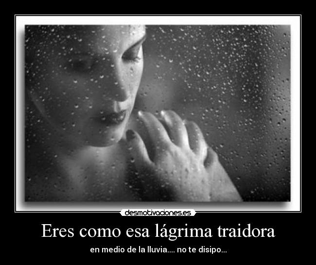 Eres como esa lágrima traidora - en medio de la lluvia.... no te disipo...