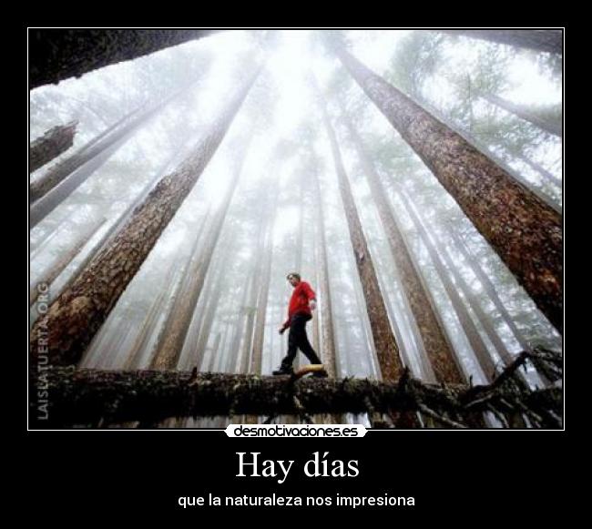 Hay días - 