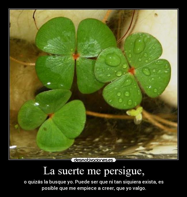 La suerte me persigue, - o quizás la busque yo. Puede ser que ni tan siquiera exista, es
posible que me empiece a creer, que yo valgo.
