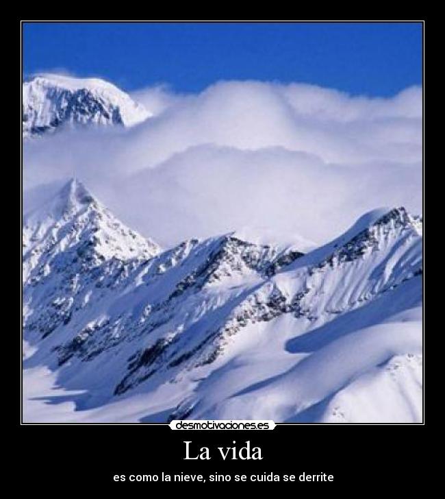 carteles vida peteer desmotivaciones