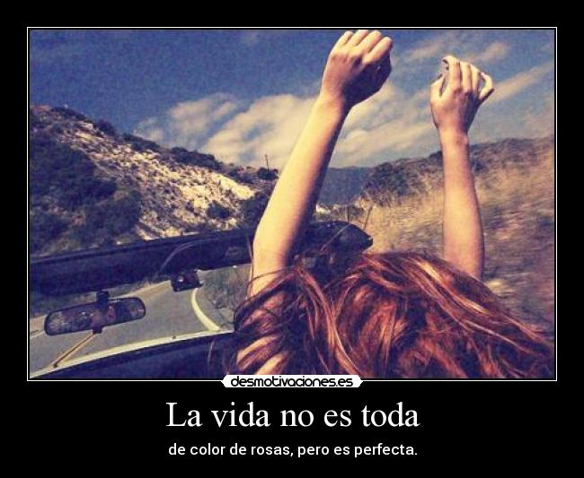 carteles vida vida perfeccion desmotivaciones