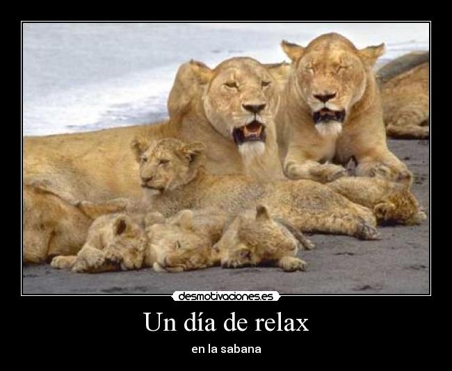 carteles dia relax sabana desmotivaciones