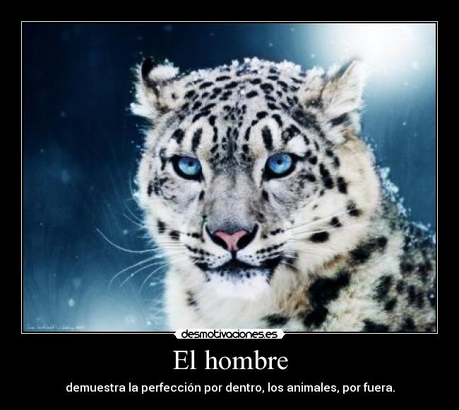 El hombre - 
