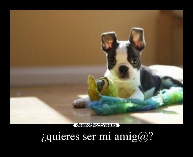 ¿quieres ser mi amig@? - 