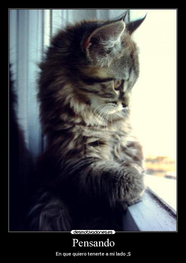 carteles karen desmotivaciones