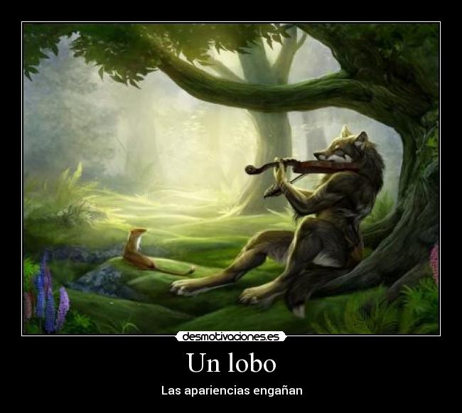 Un lobo -