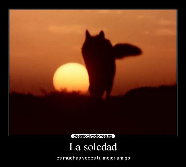 carteles soledad soledad amigo desmotivaciones