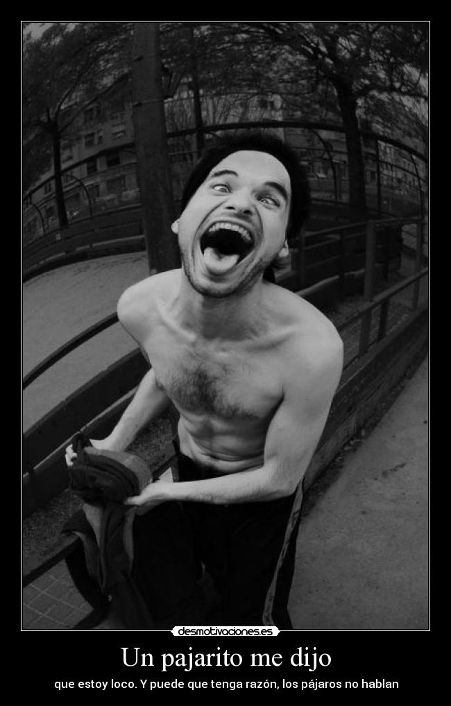 Un pajarito me dijo - que estoy loco. Y puede que tenga razón, los pájaros no hablan