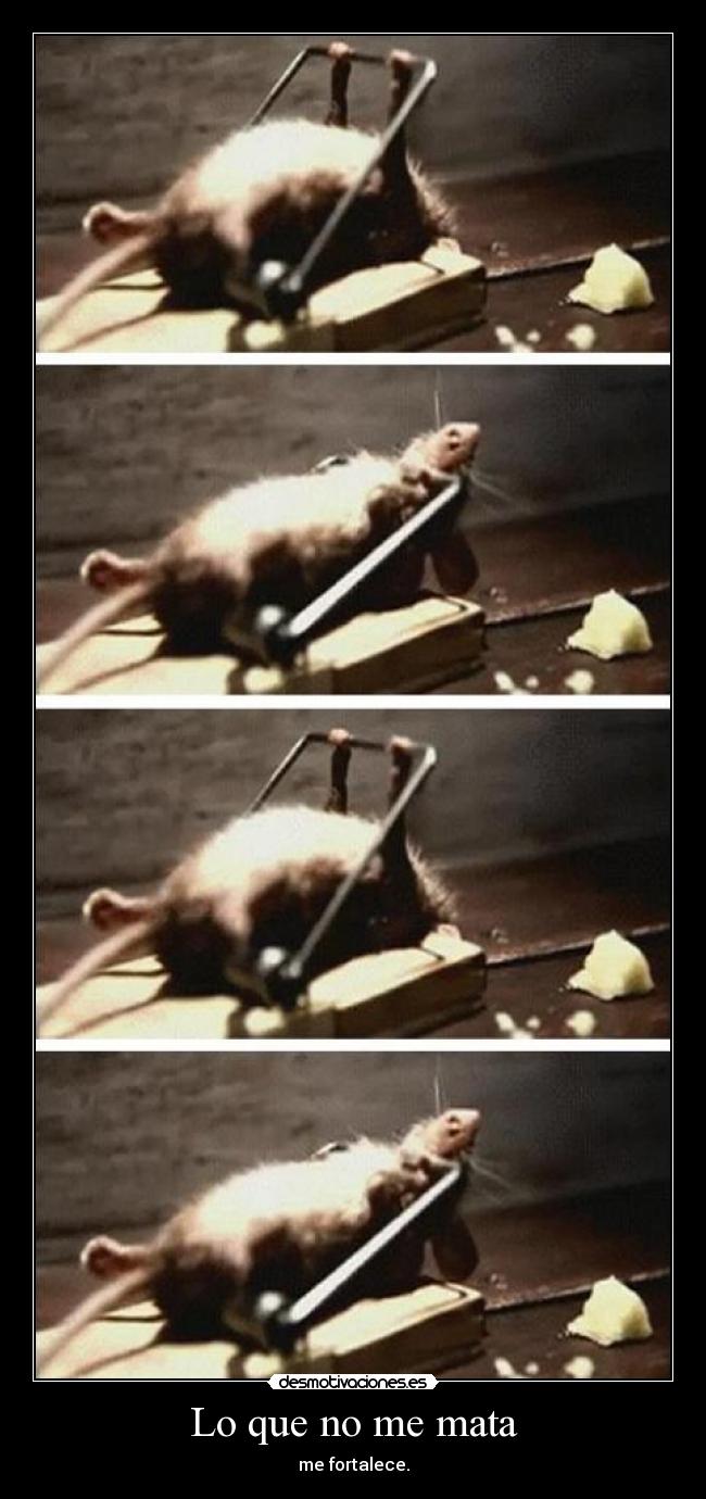 Lo que no me mata -