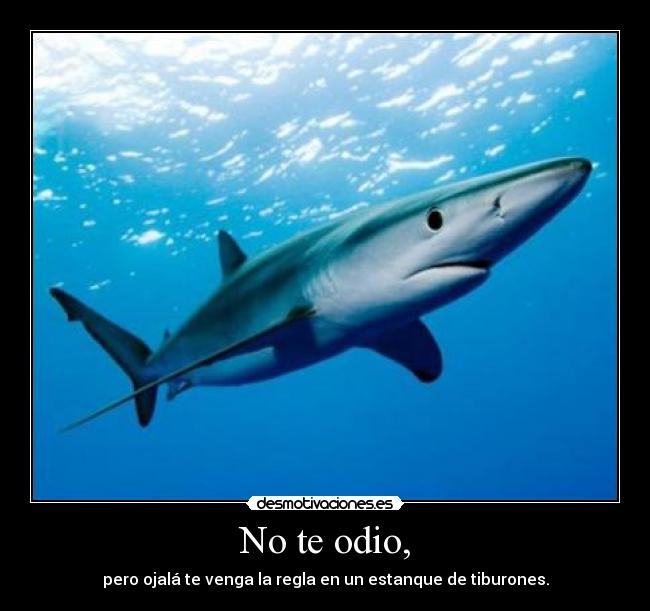 No te odio, - pero ojalá te venga la regla en un estanque de tiburones.