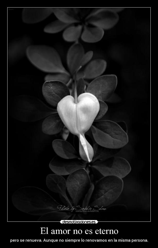 El amor no es eterno -