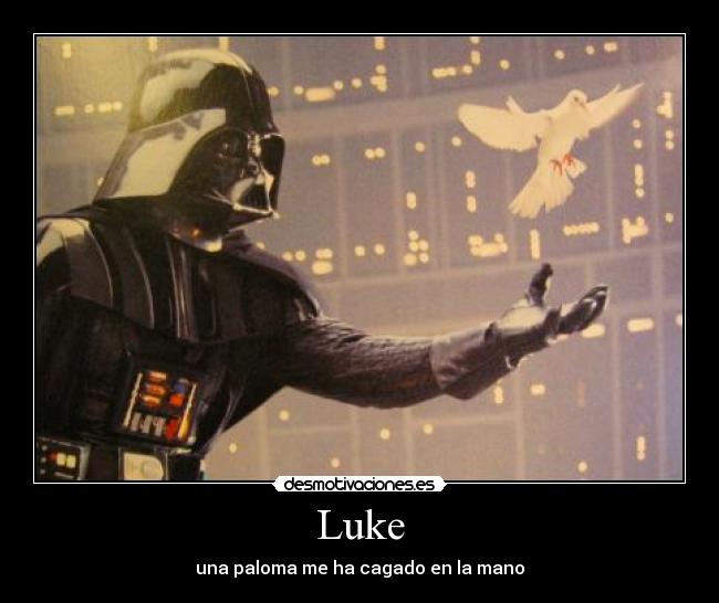 Luke - una paloma me ha cagado en la mano