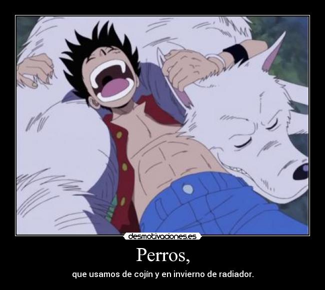 Perros, - 