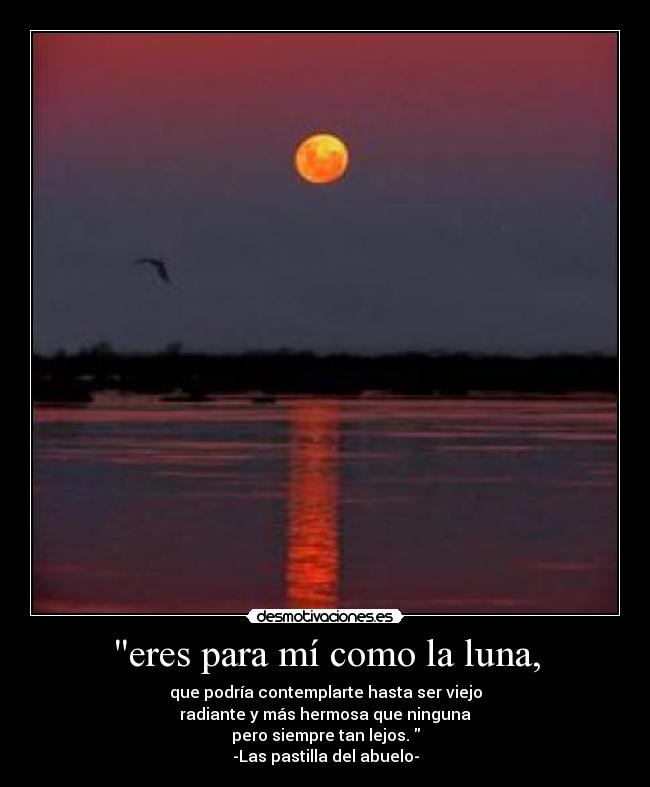 carteles mas lindo adoro sos ejemplo mujer gracias existir desmotivaciones