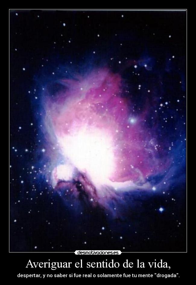 Averiguar el sentido de la vida, -