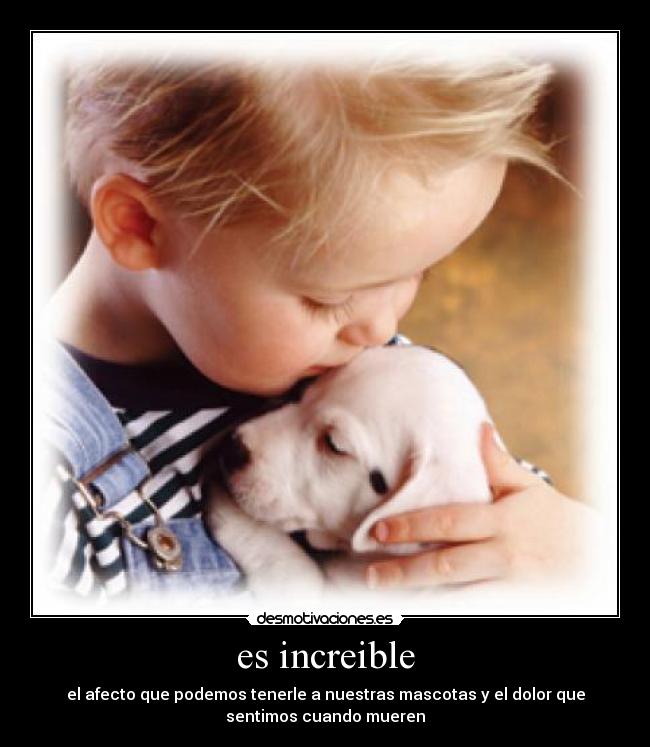es increible - el afecto que podemos tenerle a nuestras mascotas y el dolor que
sentimos cuando mueren
