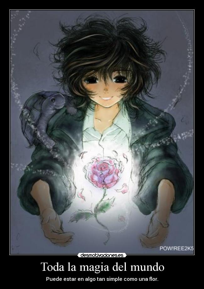 Toda la magia del mundo - Puede estar en algo tan simple como una flor.