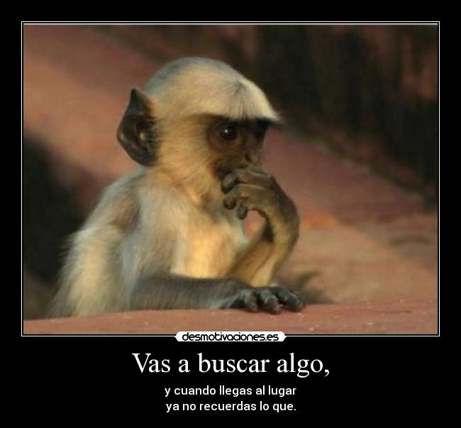 Vas a buscar algo, - y cuando llegas al lugar
ya no recuerdas lo que.