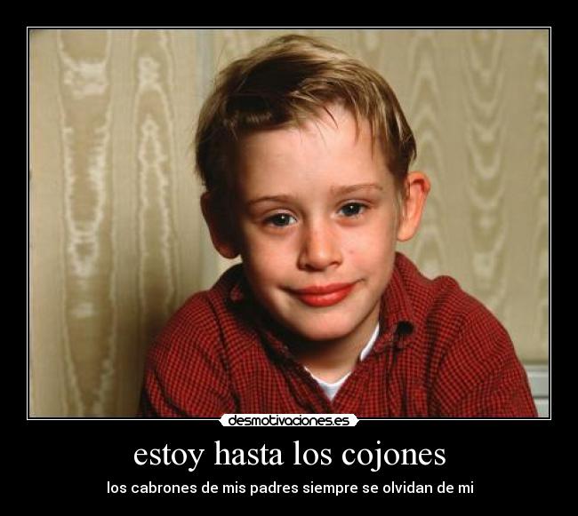 estoy hasta los cojones -