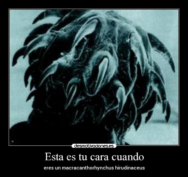 Esta es tu cara cuando -