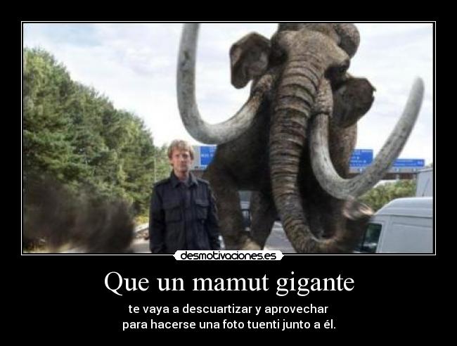 Que un mamut gigante - te vaya a descuartizar y aprovechar
para hacerse una foto tuenti junto a él.