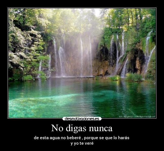 No digas nunca - de esta agua no beberé , porque se que lo harás 
y yo te veré