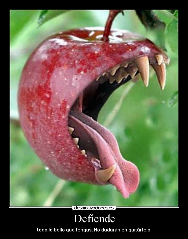 Defiende - todo lo bello que tengas. No dudarán en quitártelo.