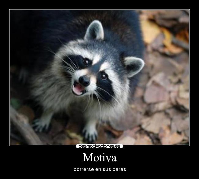 Motiva - correrse en sus caras