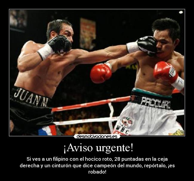 ¡Aviso urgente! - Si ves a un filipino con el hocico roto, 28 puntadas en la ceja
derecha y un cinturón que dice campeón del mundo, repórtalo, ¡es
robado!