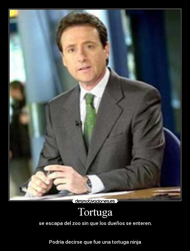 Tortuga -