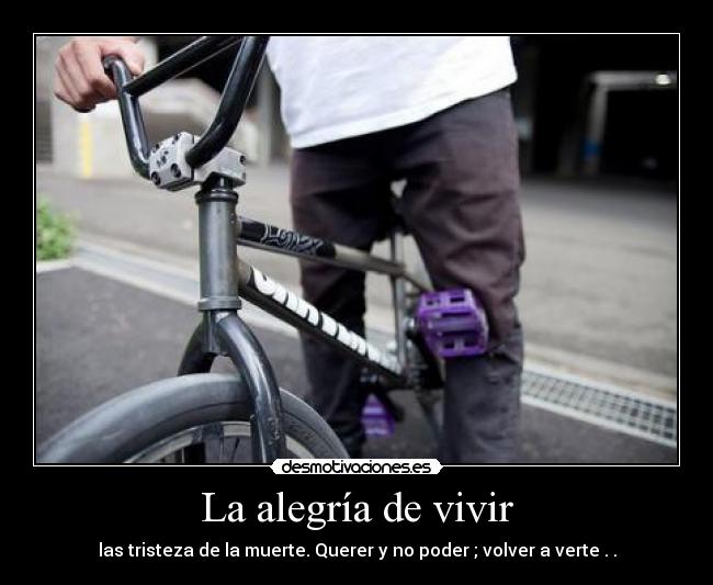 La alegría de vivir - las tristeza de la muerte. Querer y no poder ; volver a verte . .