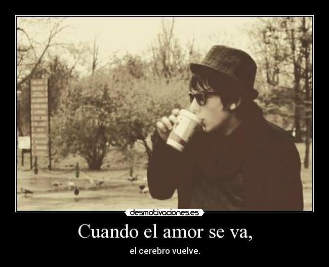 Cuando el amor se va, - el cerebro vuelve.