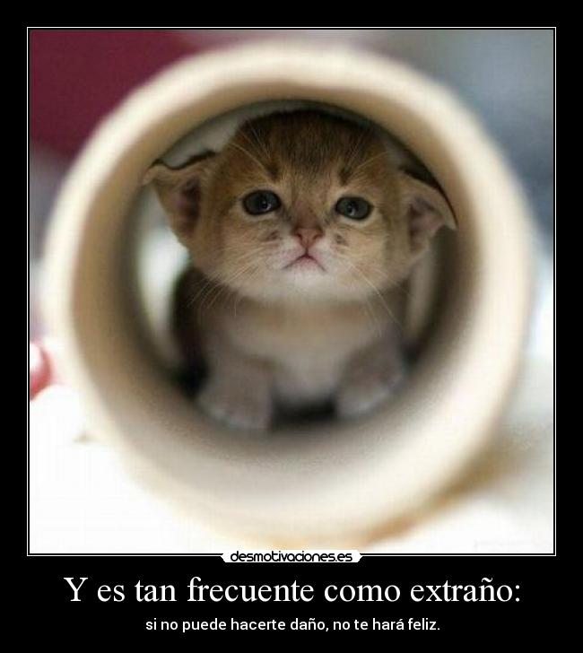 Y es tan frecuente como extraño: - si no puede hacerte daño, no te hará feliz.