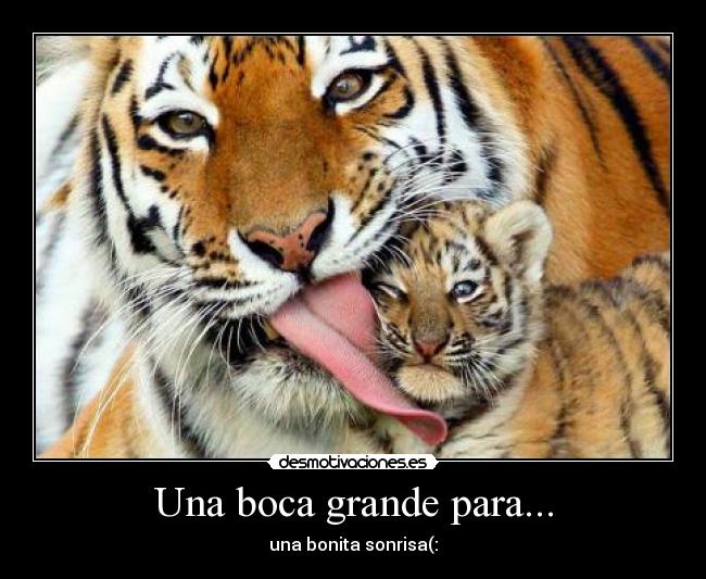 Una boca grande para... - una bonita sonrisa(: