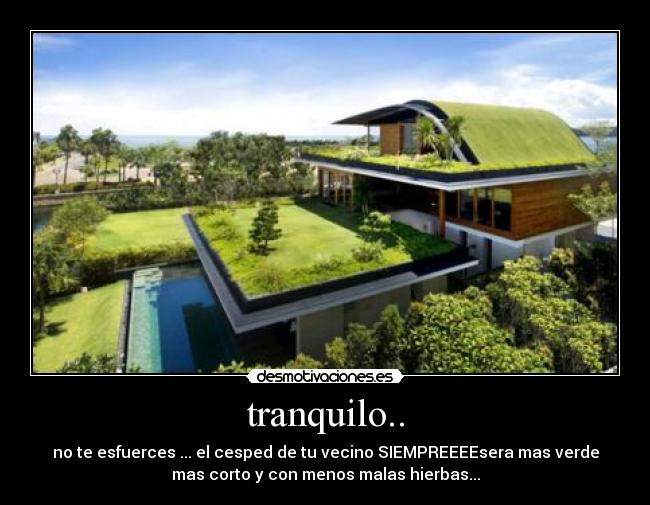 tranquilo.. - no te esfuerces ... el cesped de tu vecino SIEMPREEEEsera mas verde
mas corto y con menos malas hierbas...
